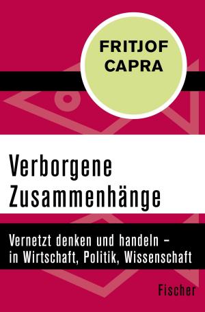 Cover of the book Verborgene Zusammenhänge by Otto Flake