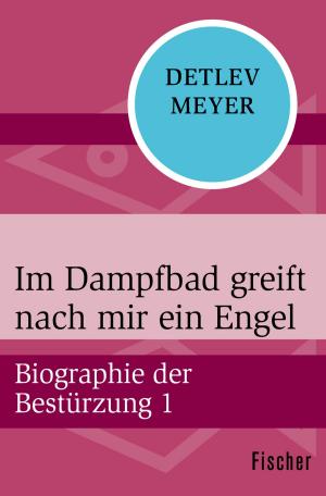 Cover of the book Im Dampfbad greift nach mir ein Engel by Fitzhugh Dodson