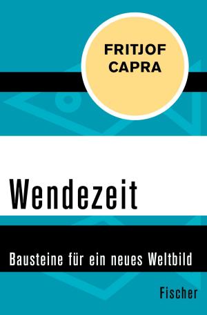 Book cover of Wendezeit