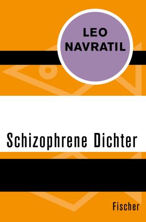Book cover of Schizophrene Dichter
