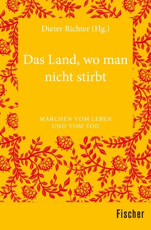 Cover of the book Das Land, wo man nicht stirbt by Julius Wolfenhaut