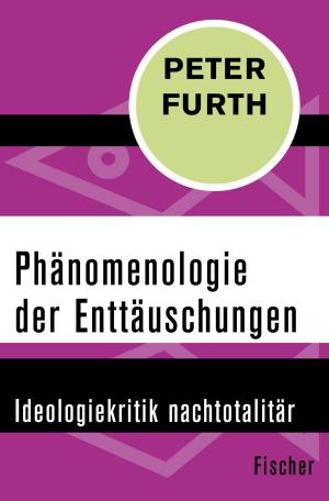 Cover of the book Phänomenologie der Enttäuschungen by Christian Kiening