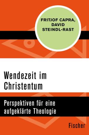 Book cover of Wendezeit im Christentum