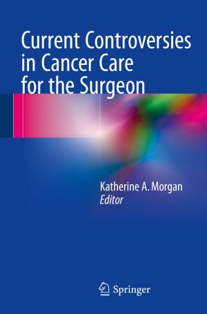 Cover of the book Current Controversies in Cancer Care for the Surgeon by Silviu-Iulian Niculescu, Florin Stoican, Sorin Olaru, Ionela Prodan
