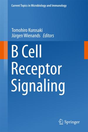 Cover of the book B Cell Receptor Signaling by Michał Niełaczny, Barnat Wiesław, Tomasz Kapitaniak