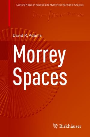 bigCover of the book Morrey Spaces by 