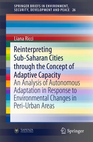 Cover of the book Reinterpreting Sub-Saharan Cities through the Concept of Adaptive Capacity by Etele Csanády, Endre Magoss, László Tolvaj