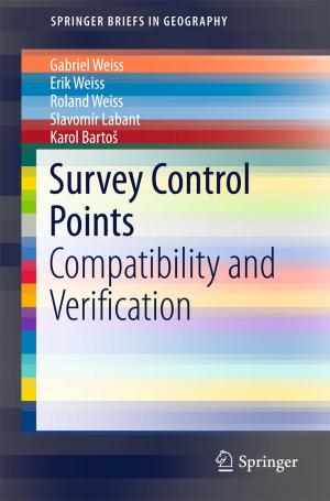 Cover of the book Survey Control Points by Xiang Xu, Xingkun Wu, Feng Lin