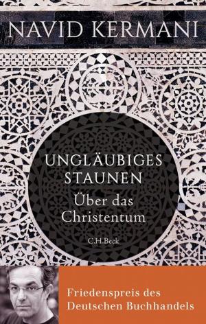 Cover of the book Ungläubiges Staunen by Wolfgang Benz