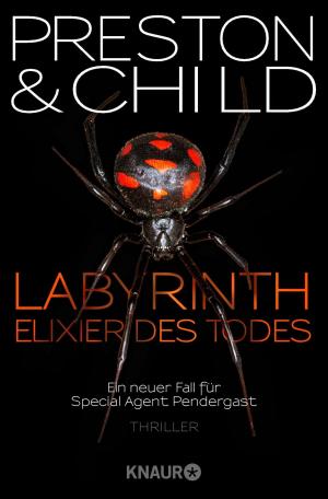 Cover of Labyrinth - Elixier des Todes