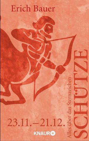Cover of the book Alles über das Sternzeichen Schütze by Iny Lorentz
