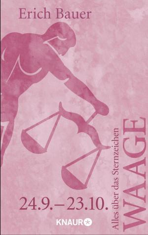 Cover of the book Alles über das Sternzeichen Waage by Heidi Rehn