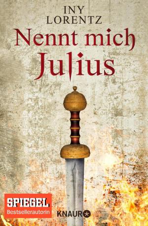 Cover of the book Nennt mich Julius by Scott McBain
