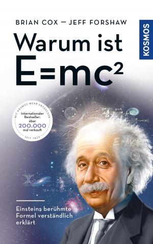 Cover of the book Warum ist E = mc²? by Maja von Vogel