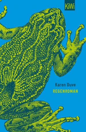 Cover of the book Duve, Regenroman by Elmar Träbert