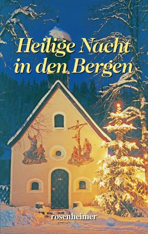 Book cover of Heilige Nacht in den Bergen
