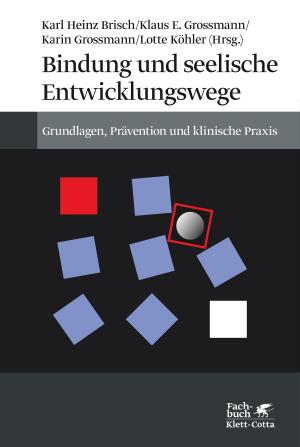 Cover of the book Bindung und seelische Entwicklungswege by Anthony Ryan