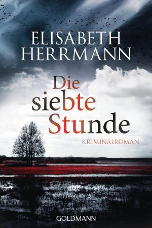 Cover of the book Die siebte Stunde by Erik Axl Sund