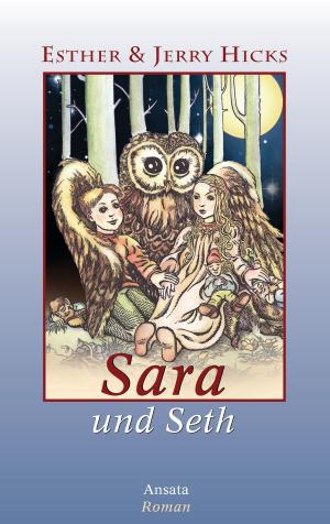 Cover of the book Sara und Seth by Iris Treppner