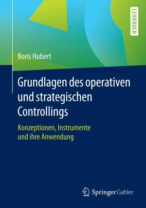 Cover of the book Grundlagen des operativen und strategischen Controllings by 