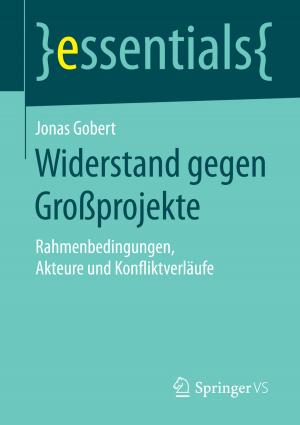Cover of the book Widerstand gegen Großprojekte by Dirk Noosten
