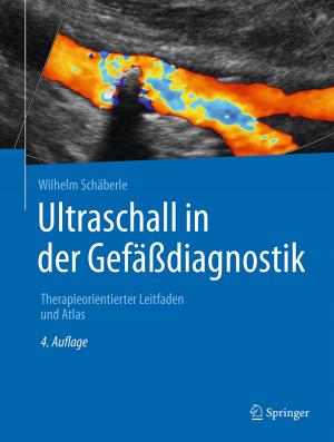 Cover of the book Ultraschall in der Gefäßdiagnostik by 