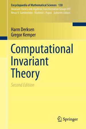 Cover of the book Computational Invariant Theory by Yongkang Zhang, Jinzhong Lu, Kaiyu Luo
