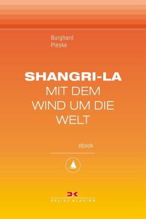 Cover of the book Shangri-La by Nicolas Thon