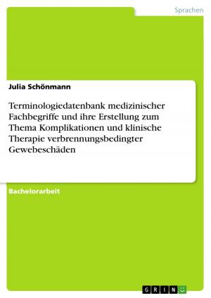 Cover of the book Terminologiedatenbank medizinischer Fachbegriffe und ihre Erstellung zum Thema Komplikationen und klinische Therapie verbrennungsbedingter Gewebeschäden by Eric Kresse
