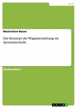Book cover of Das Konzept der Wagniserziehung im Sportunterricht