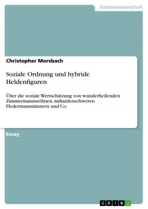 Cover of the book Soziale Ordnung und hybride Heldenfiguren by Frank Fraundorf