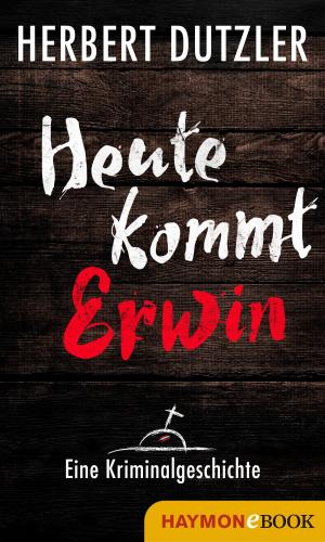 Book cover of Heute kommt Erwin. Eine Kriminalgeschichte