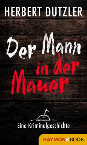 Book cover of Der Mann in der Mauer. Eine Kriminalgeschichte