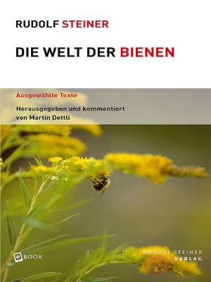 Cover of Die Welt der Bienen