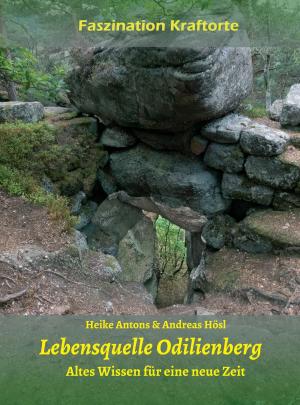 Cover of the book Lebensquelle Odilienberg by Manfred Blohm