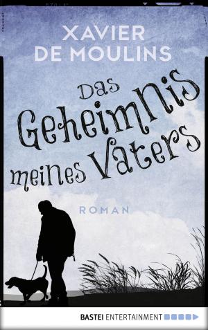 Cover of the book Das Geheimnis meines Vaters by Sarah Lark