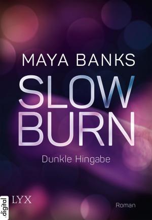 Cover of the book Slow Burn - Dunkle Hingabe by Laura Kneidl