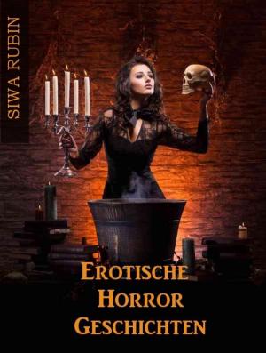 Cover of the book Erotische Horrorgeschichten by Danny Wilson