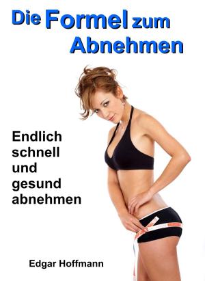 Cover of the book Die Formel zum Abnehmen by Daniela Nelz