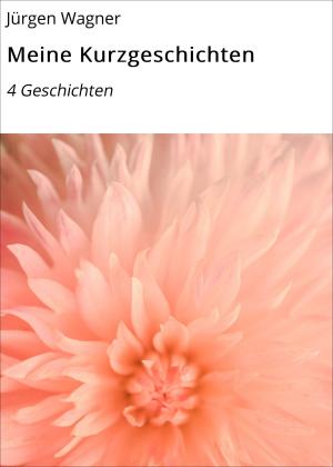 Cover of the book Meine Kurzgeschichten by Florian Tietgen