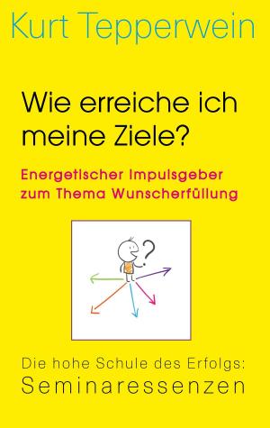 Cover of the book Willst du erfolgreich sein? - Leitfaden zu Reichtum und Erfolg by DAVID KENNY