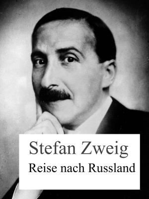 Cover of the book Reise nach Russland by René Schreiber