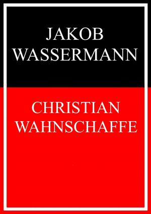 Cover of the book Christian Wahnschaffe by Wolfgang Rinn