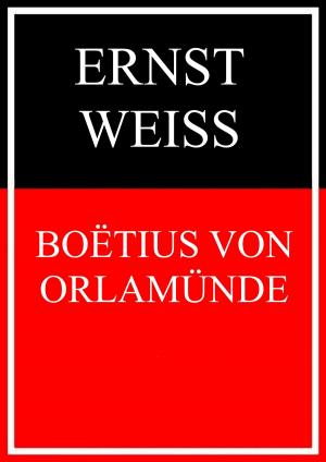 Cover of the book Boëtius von Orlamünde by Josephine Siebe
