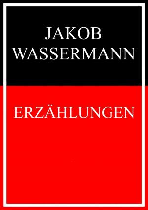 Cover of the book Erzählungen by Caroline von Oldenburg