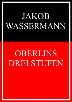 Cover of the book Oberlins drei Stufen by 
