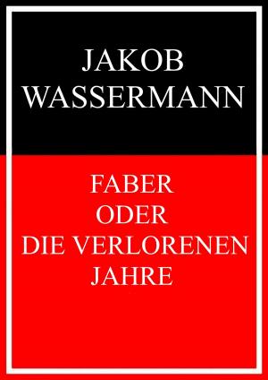 Cover of the book Faber oder Die verlorenen Jahre by Adolf Greff