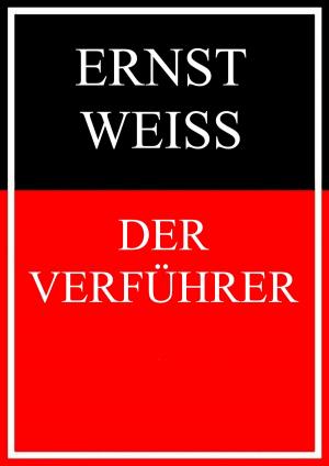 Cover of the book Der Verführer by Amelie Kunze, Fabian Reichel, Marcel Wissing