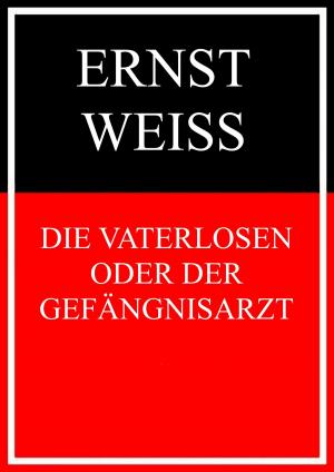 Cover of the book Die Vaterlosen oder Der Gefängnisarzt by Theo von Taane