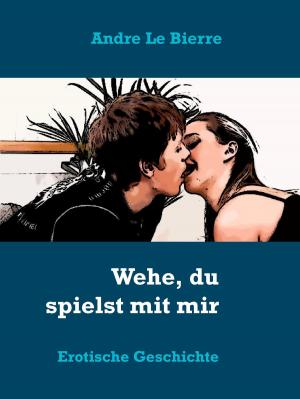 Cover of the book Wehe, du spielst mit mir by Valentina Fürst